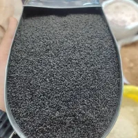 تخم شربتی درشت اعلا