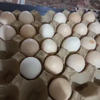 خوردن وآشامیدن