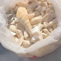 .سنگ و صدف آکواریوم