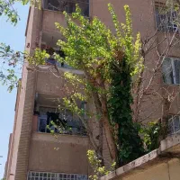 ۷۲متر ۲خوابه. نورگیر . سند دار. کیانمهر بوستان ۴|فروش آپارتمان|کرج, کیانمهر|دیوار