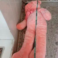 تدی بزرگ