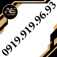 0919.919.84.80