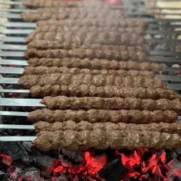 مایه کباب و مایه فلافل اعلا درجه یک به شرط پخت