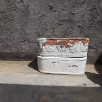 گلدان باغچه ای سالم
