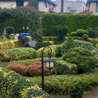 باغبانی و کارواش