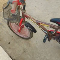 دوچرخه اقتصادی