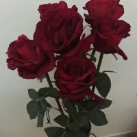 گل و گلدان