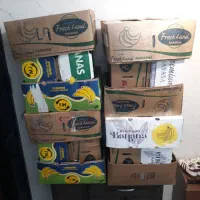 کارتن خالی موزی ، سینما خانواده و تلوزیون