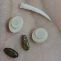 رزق روزی و..