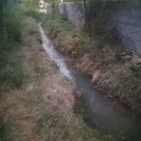 علف زنی بادستگاه