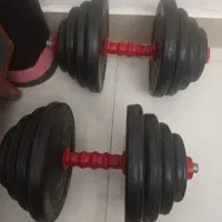 دمبل