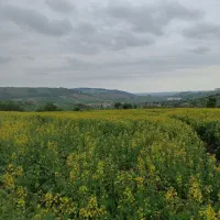 فروش زمین روستای توشن. خارج ازبافت