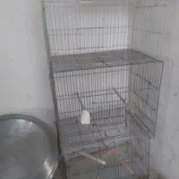 فروش قفس