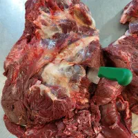 پخش،گوشت گوساله تلیسه ماده گاو