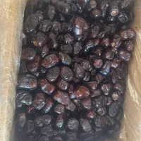 فروش خرما اعلا
