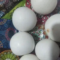 سنگ الماس اسیاب