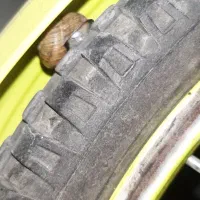 حلزون واگذاری رایگان