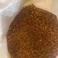 غذای گربه