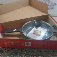 ماهی تاب نالی نو  سایز ۲۲