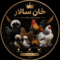 همه مدل برهما و مینیاتوری بخون همه چیزشو داریم