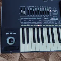 کرگpa3x .پنج اکتایو