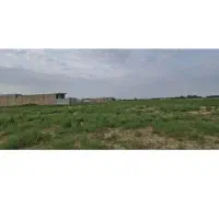 انتهای فرهنگیان