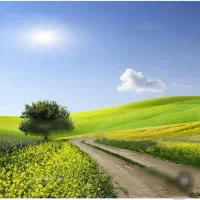 باغ-در-کریک