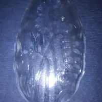 شکلات.خوری