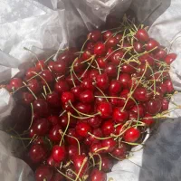 گیلاس دماوند