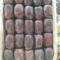 فروش خرما دوردیف درجه یک