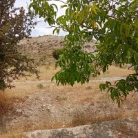 زمین-خانه-باغ