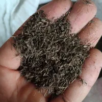 زیره کوهی .تحویل درب منزل