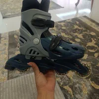اسکیت سالم ژاپنی