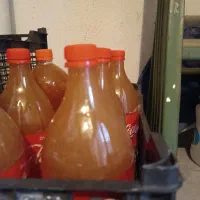 آبغوره اصل خالص خالص
