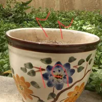 گلدان درجه یک با اندازه های مختلف
