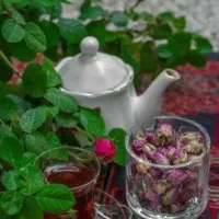 گلاب تازه