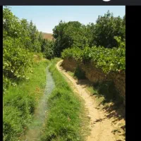 باغ فروشی
