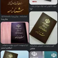 شناسنامه گمشده