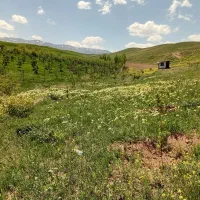 زمین باغ ۲۲۰۰متر