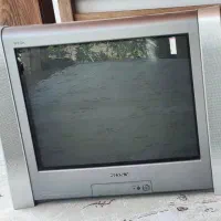 تلویزیون