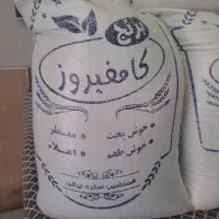 برنج کامفیروزی