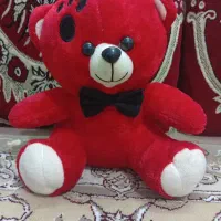 خرس ناناز و نو