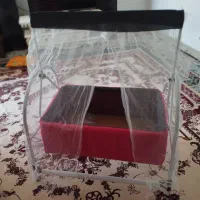 گهواره