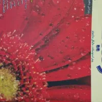 کتاب|کتاب و مجله ادبی|گرگان, |دیوار
