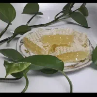 شهد ناب گیلان