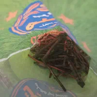 خرید فلزات رنگی
