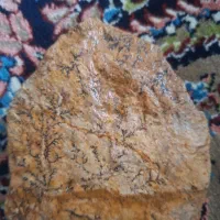سنگ شجر|جواهرات|بم, |دیوار