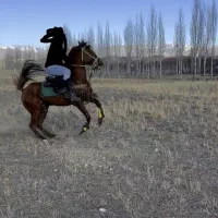 کره نریان خط خونی کامران