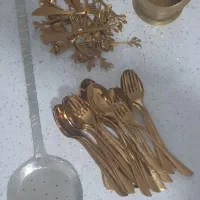 لوازم . آشپز خانه وو