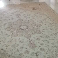 دو تخت فرش هفت صد شونه(فرش ماهدیس مشهد)